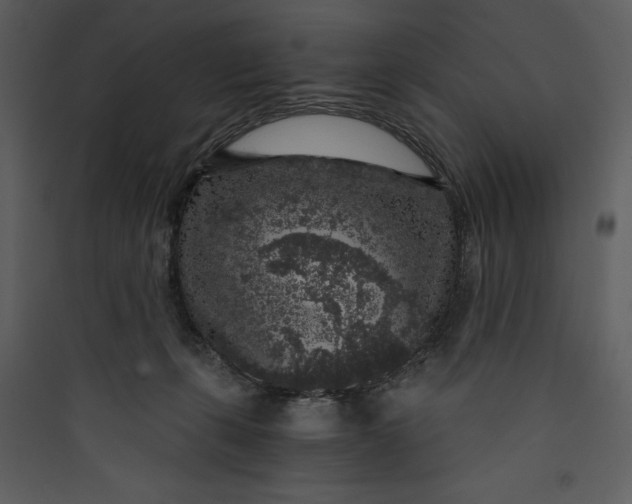 X0000089750271200707121347