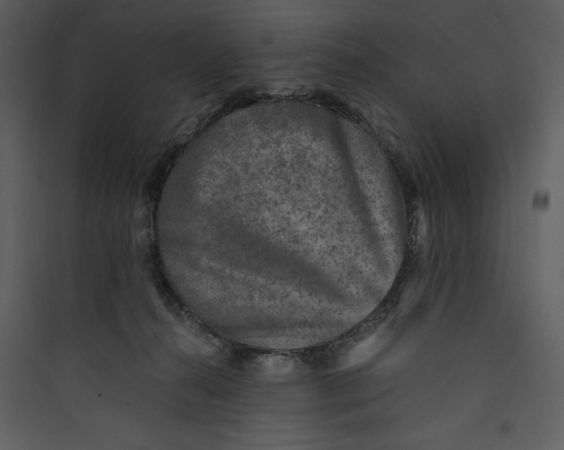 X0000089750272200707121347