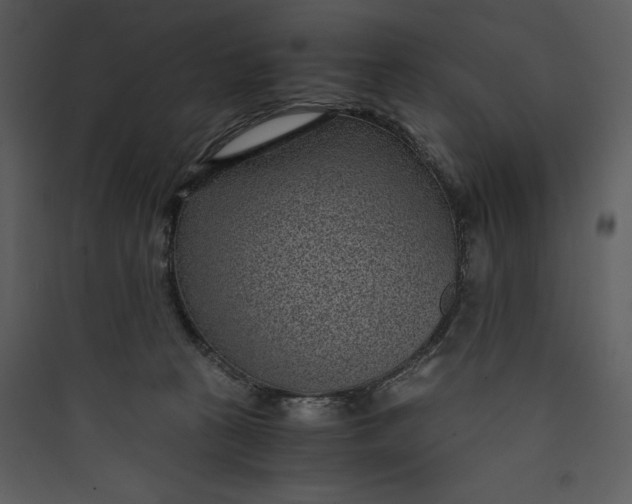 X0000089750273200707121347