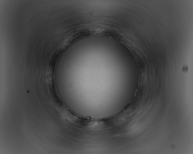 X0000089750274200707121348