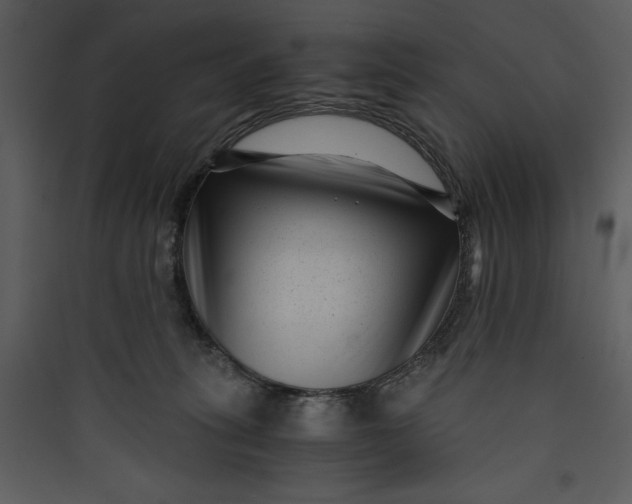 X0000089750275200707121348