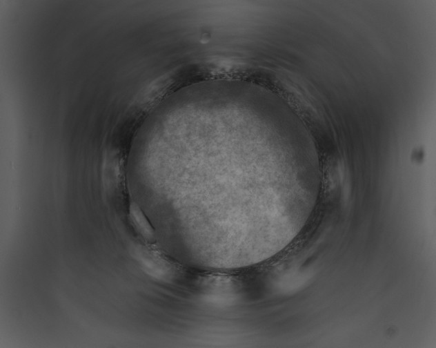 X0000089750276200707121348