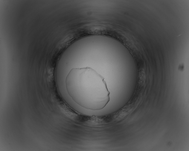 X0000089750278200707121348