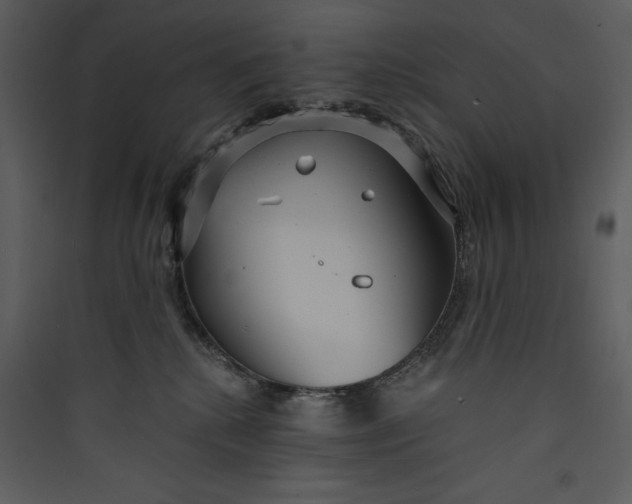 X0000089750280200707121348