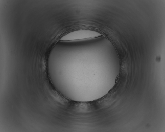 X0000089750282200707121348