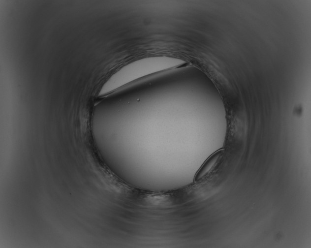 X0000089750283200707121348