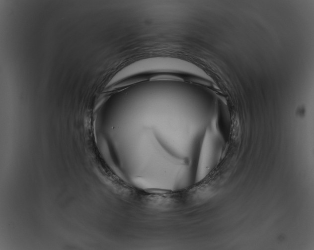 X0000089750284200707121348