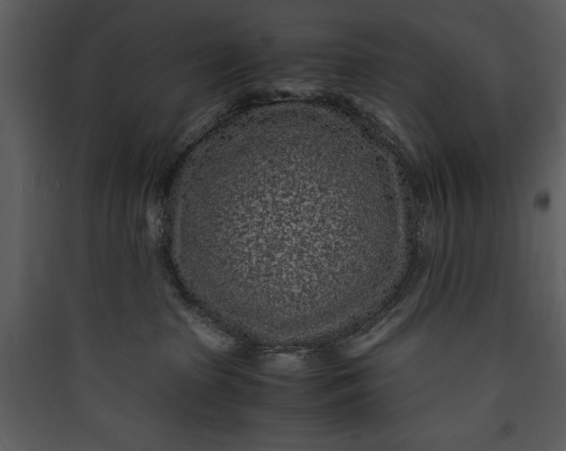 X0000089750285200707121348