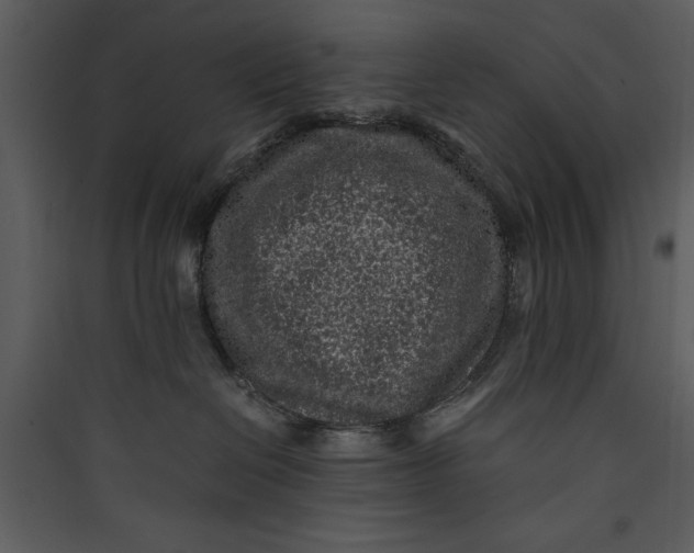 X0000089750286200707121348