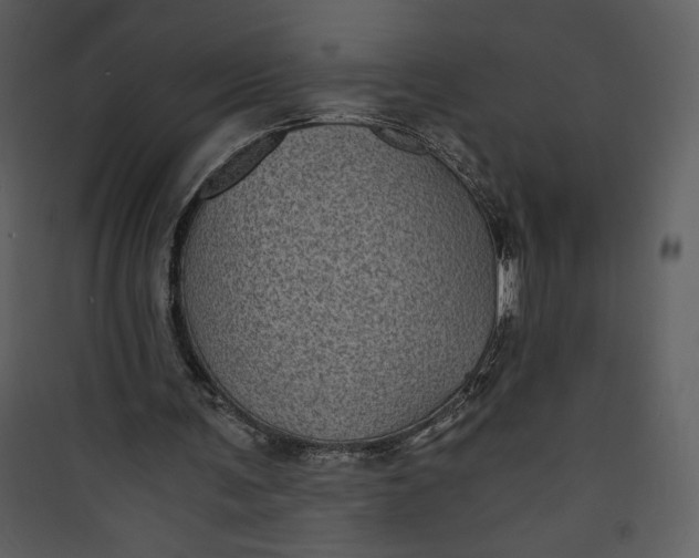 X0000089750291200707121347