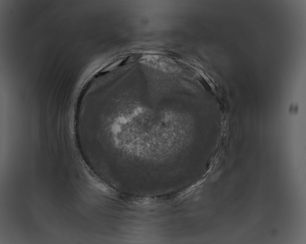 X0000089750293200707121347