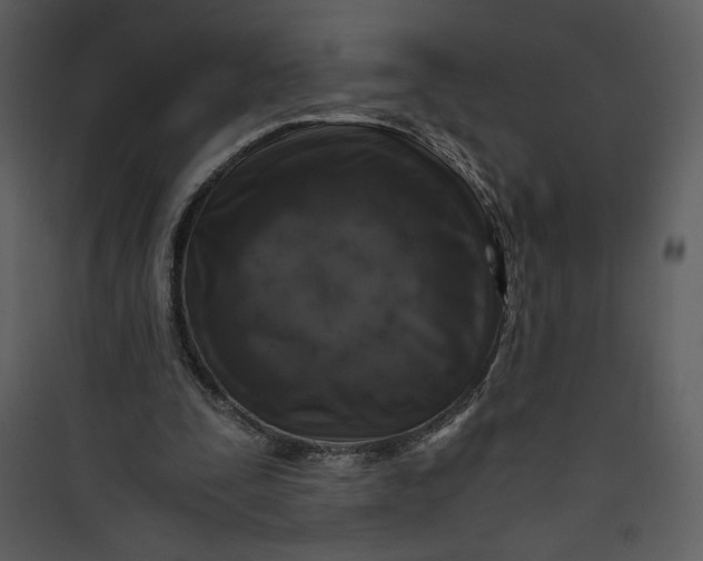 X0000089750295200707121347