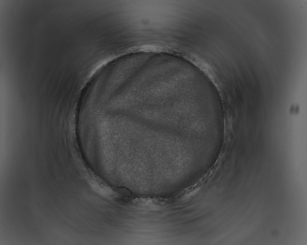 X0000089750297200707121347