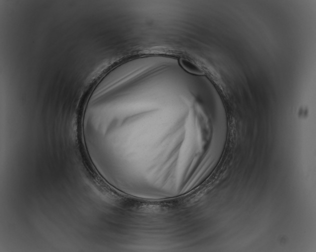 X0000089750298200707121347