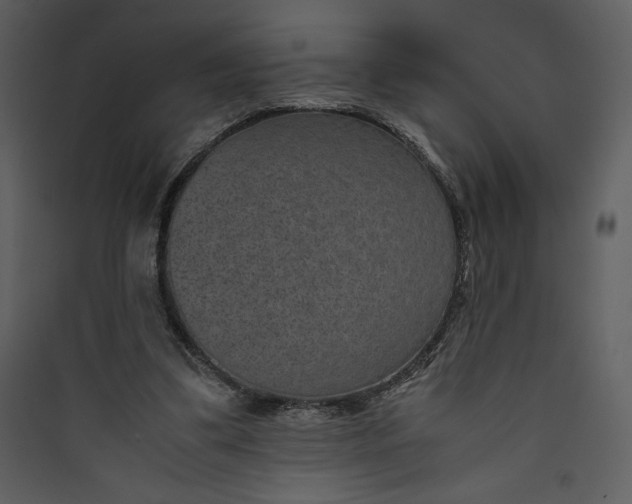 X0000089750299200707121347