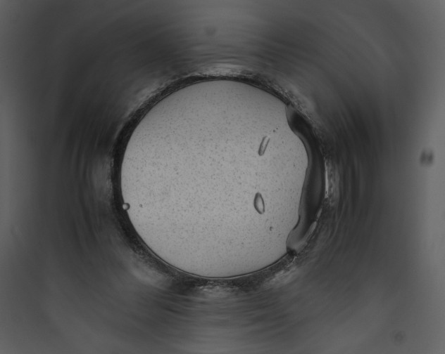 X0000089750300200707121347