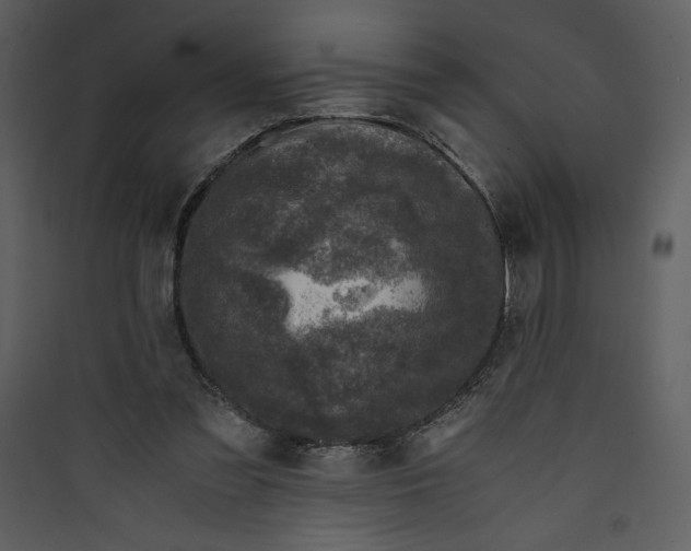 X0000089750301200707121347