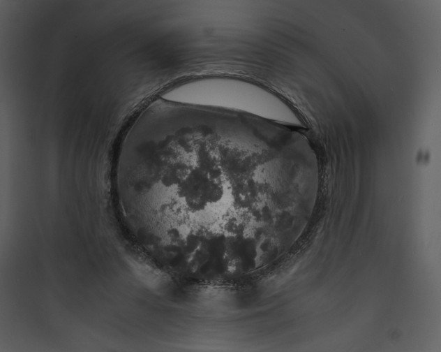 X0000089750303200707121347