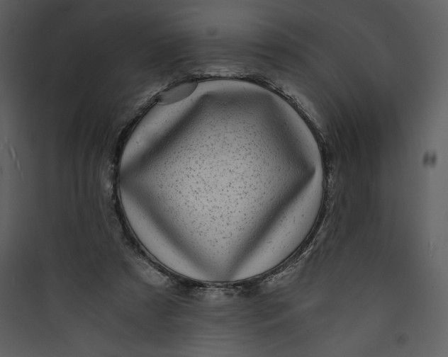 X0000089750305200707121347