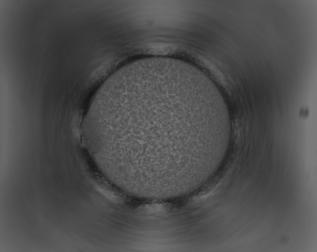 X0000089750307200707121347