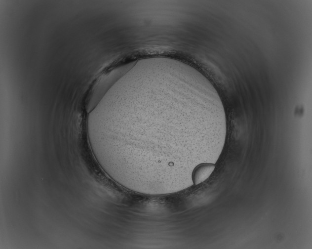 X0000089750308200707121347