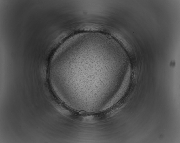 X0000089750309200707121347