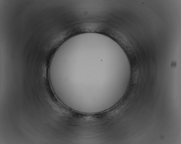 X0000089750310200707121347