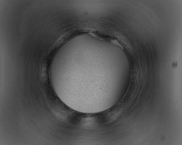 X0000089750312200707121347