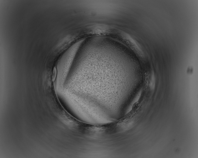 X0000089750313200707121347