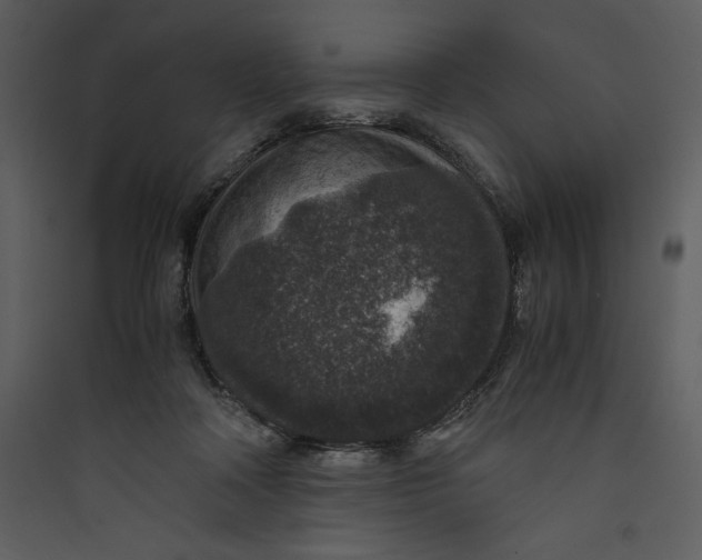 X0000089750314200707121347