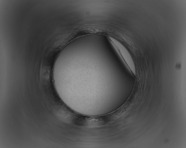 X0000089750315200707121347