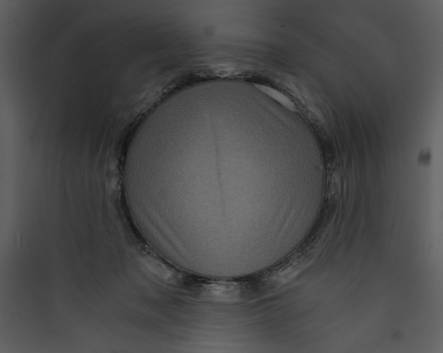 X0000089750317200707121347