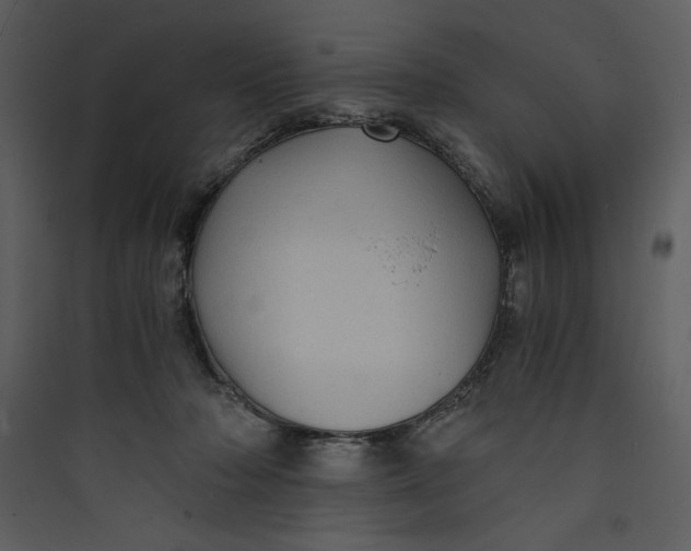 X0000089750318200707121347