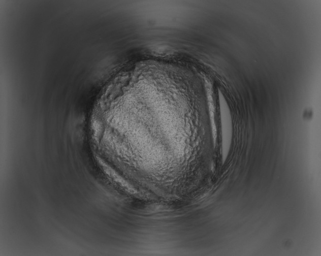 X0000089750319200707121347