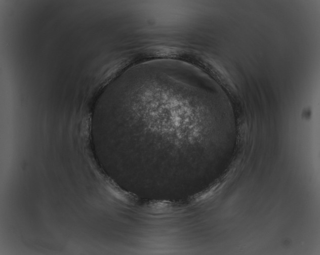 X0000089750325200707121347