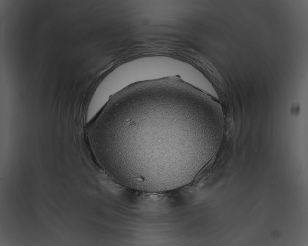 X0000089750329200707121347