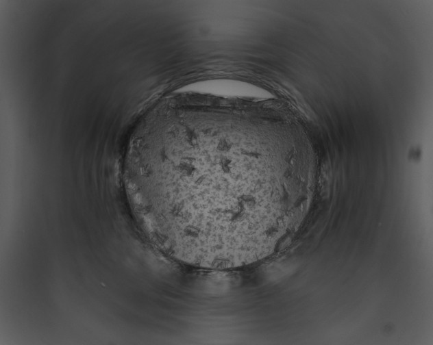 X0000089750330200707121347