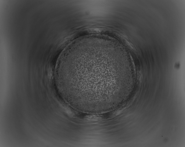 X0000089750331200707121347