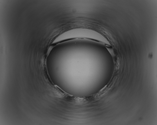 X0000089750333200707121347