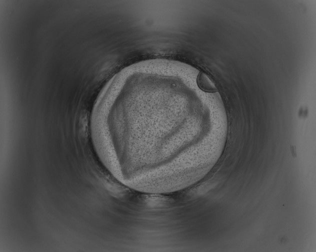 X0000089750336200707121346