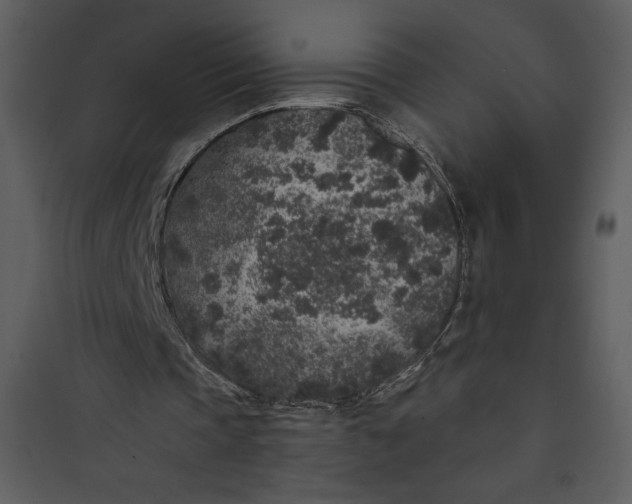 X0000089750337200707121346