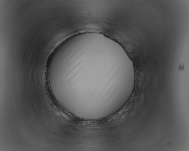 X0000089750338200707121346