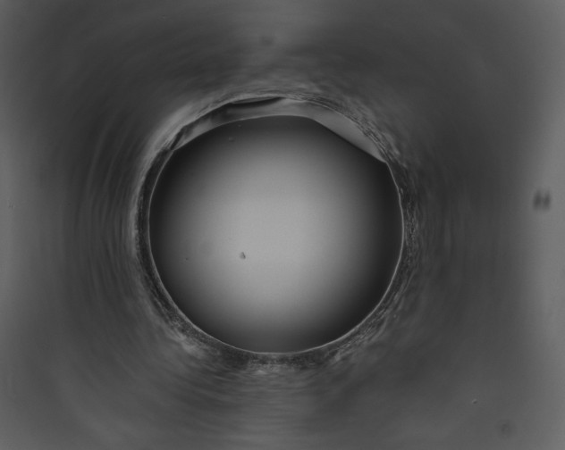 X0000089750340200707121346