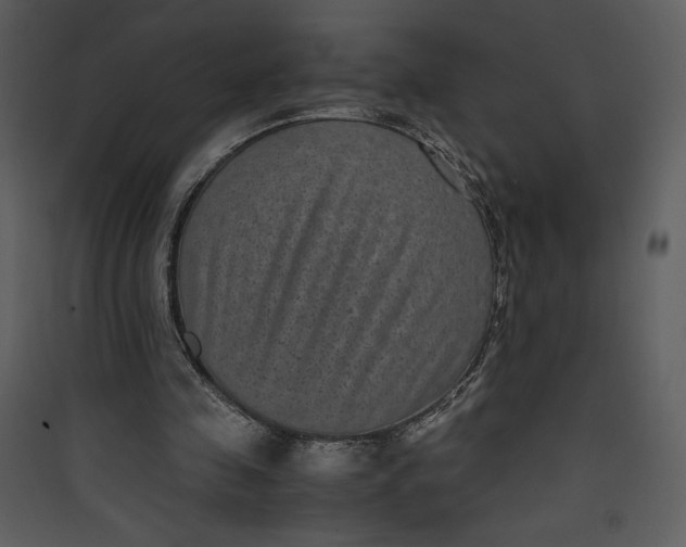 X0000089750341200707121346