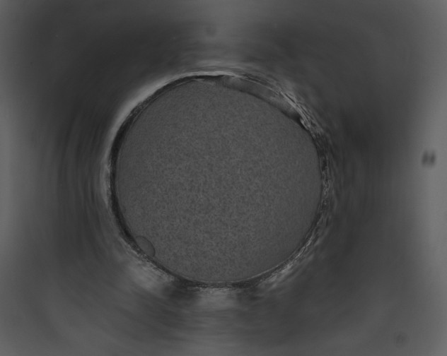 X0000089750342200707121346