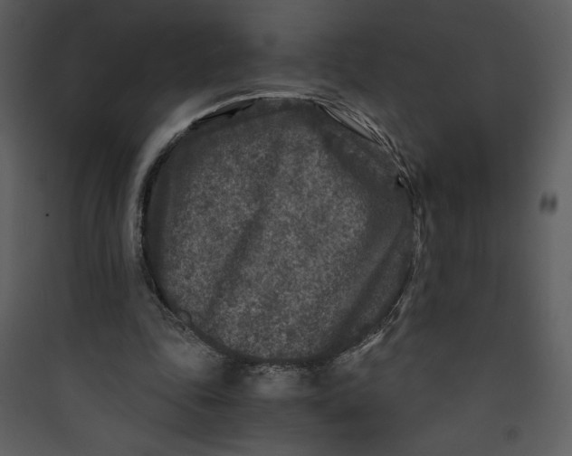 X0000089750343200707121346