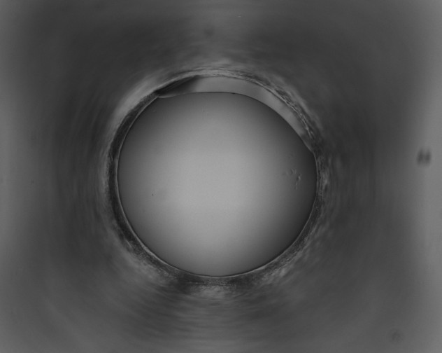 X0000089750344200707121346