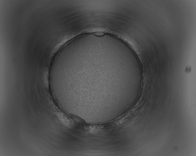 X0000089750345200707121346