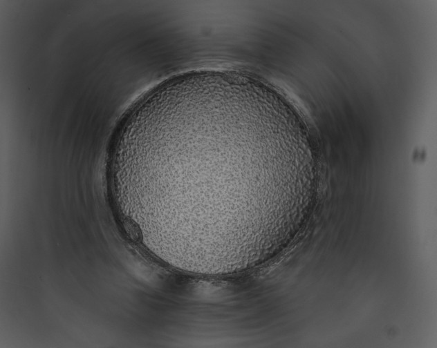 X0000089750346200707121346