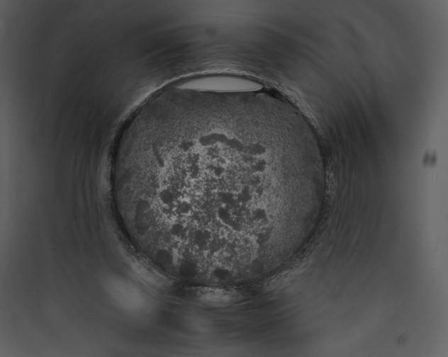 X0000089750347200707121346